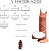 Pennis artificiel étanche mâle Dillo poussant pour les femmes;  prise analogique réaliste Dillo Bultt;  fonction de chauffage Pennis réaliste ventouse